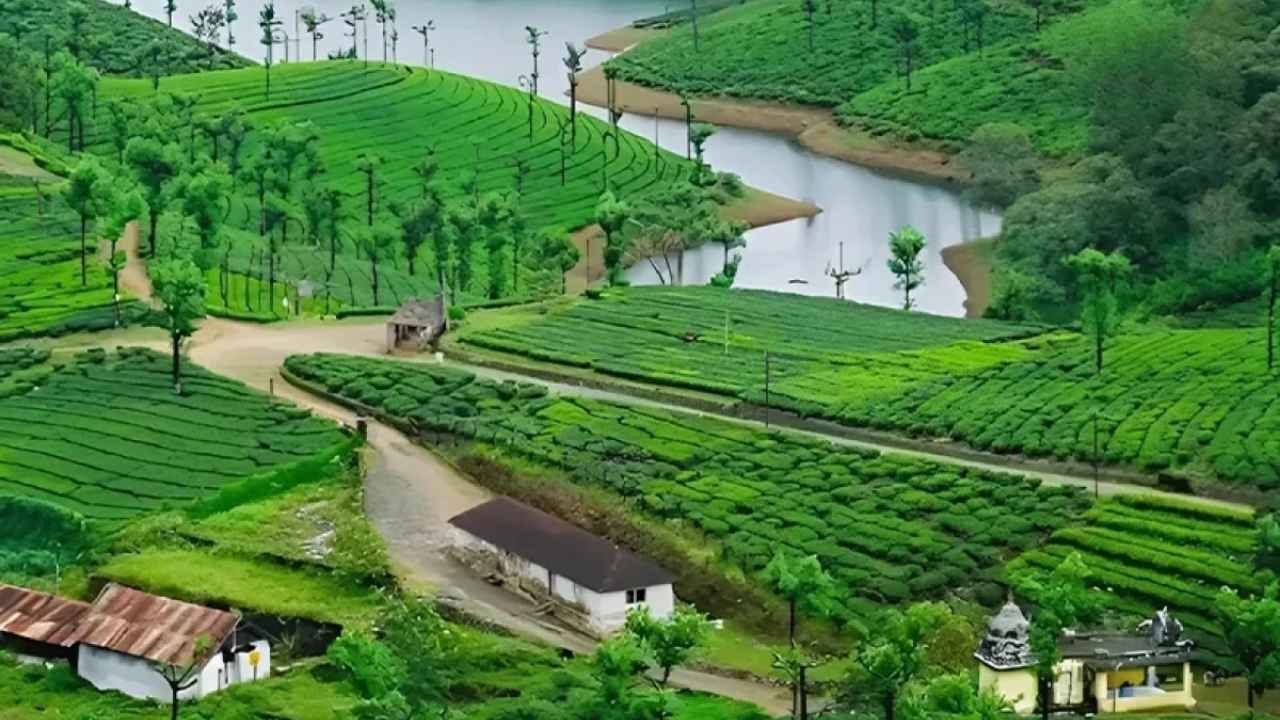 Best Time to Visit Tamil Nadu